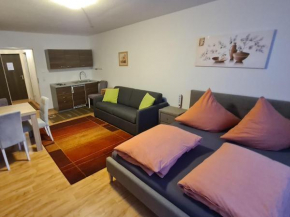 Schöne Apartment in Bayerische Wald,Sankt Englmar